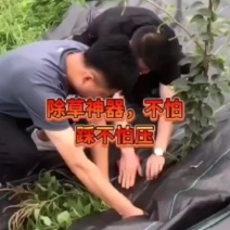 防草布