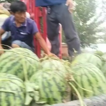 西瓜