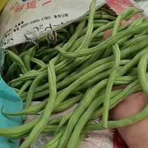 四棱豆