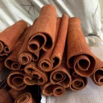 桂皮刮皮通/中通
