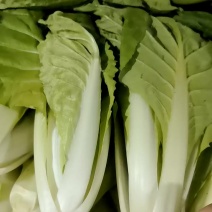 快菜