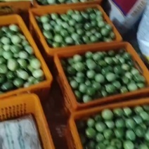 钦蜜9号中大果，60克以上为主