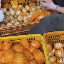 人参果大果80克以上，中果50克到80克，小果30克到8