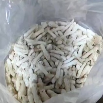 竹荪统货