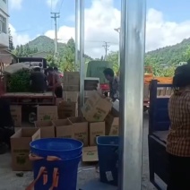 鲜辣椒纸箱装，22斤/箱
