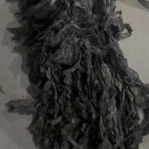海带无沙干海带