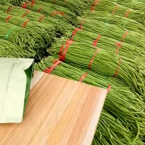 刺黄瓜22~25公分鲜花带刺