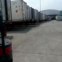 脐橙南非橙