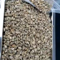 阿拉比卡豆