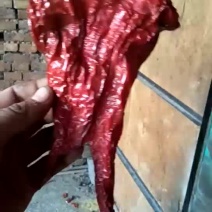 干辣椒9成干以上精品