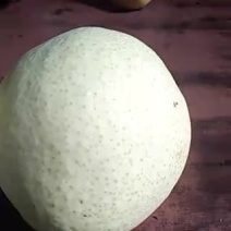 酥梨纸袋200~250g