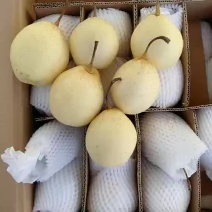 水晶梨150~200g纸箱