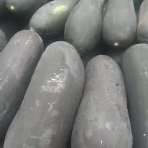 黑皮冬瓜15斤以上吊冬瓜