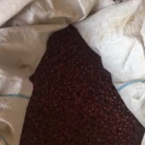 红豆袋装
