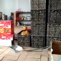 土鹌鹑蛋食用