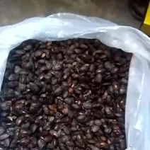 九香虫统货