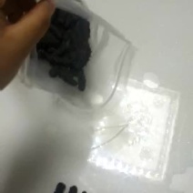 速发海参食用淡干大连