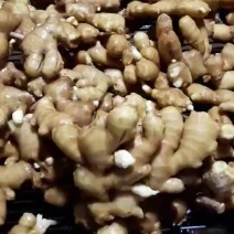 【精品】二黄姜生姜5两以上带土对接电商市场等