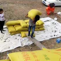 油菜籽1级