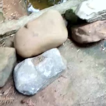 毛石