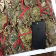 远海梭子蟹食用冻品