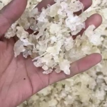 雪燕