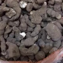 重楼选个干货