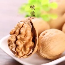网红社区团购大卖烤核桃手剥核桃厂家现货口味齐全