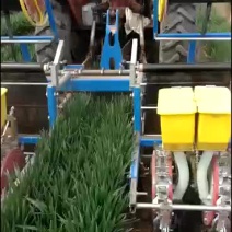 麦地套种辣椒播种机朝天椒铺膜播种机2行4行播种机拖拉机带