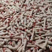 【精品】水退羊蹄质量保证价格实惠一条龙服务