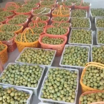 贵州李子安顺蜂糖李产地直发一手货源供应充足，欢迎来电咨询