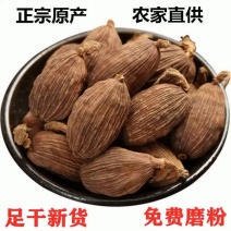 草果仁香料调料草果粉卤肉料炖肉料配料调味料中药