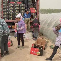 江苏精品甘美4K西瓜大量上货品质保障价格实惠运输方便