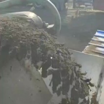 厂家直销牛粪养殖拱土蚯蚓粪育苗底肥