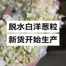 脱水白洋葱粒