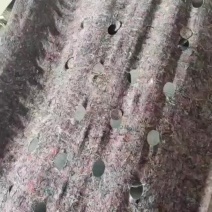 毛毡地布片单张打孔热切连续开孔一棵树下铺一张