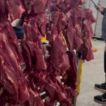 母猪一号肉