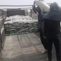 东北高钙水洗贝壳粉，陈年老贝壳含钙量高欢迎来电洽谈