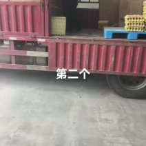 红皮鸡蛋大量供应养殖场直发对接全国市场商超电商