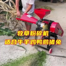 家用小型草浆机鸡鸭鹅饲草打浆机