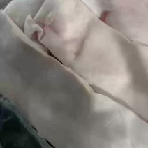 猪脊膘品质保证货源充足大量供应欢迎来电咨询