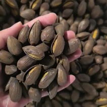25年新货香榧（开口）