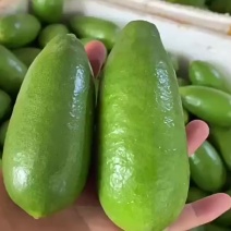 【子弹头无籽香水青柠檬】手打柠檬茶皮薄多汁非安岳新鲜水果