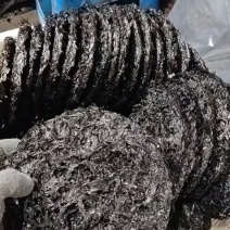 干净无沙，色泽鲜亮，绿色紫菜，机械加工紫菜