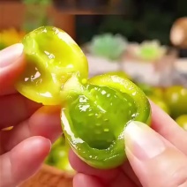 【精品青甜】味甜产地直供现摘现发品质保障欢迎咨询