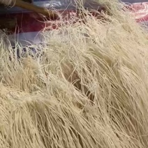 精品纯红薯粉条河南基地直供质量保证一手货源全国发货