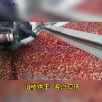 网带水果烘干机西梅青梅烘干设备蓝莓山楂杏干李子烘干流水线