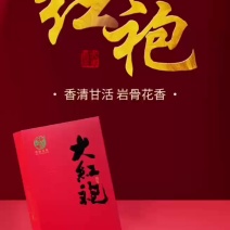 武夷大红袍茶叶原产地新茶礼盒装正品简易精美送人礼品茶乌