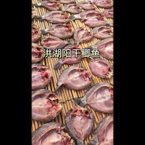 风干鱼湖北洪湖特产干鲫鱼大号，一手货源，新鲜腌制