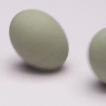 批发松花皮蛋，厂家直销，量大从优，无铅工艺
